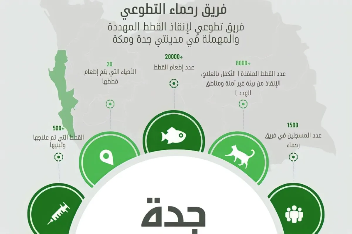 تظهر الصورة إحصائية فريق رحماء التطوعي - مصدر الصورة تصميم المحررة ثناء المحمد