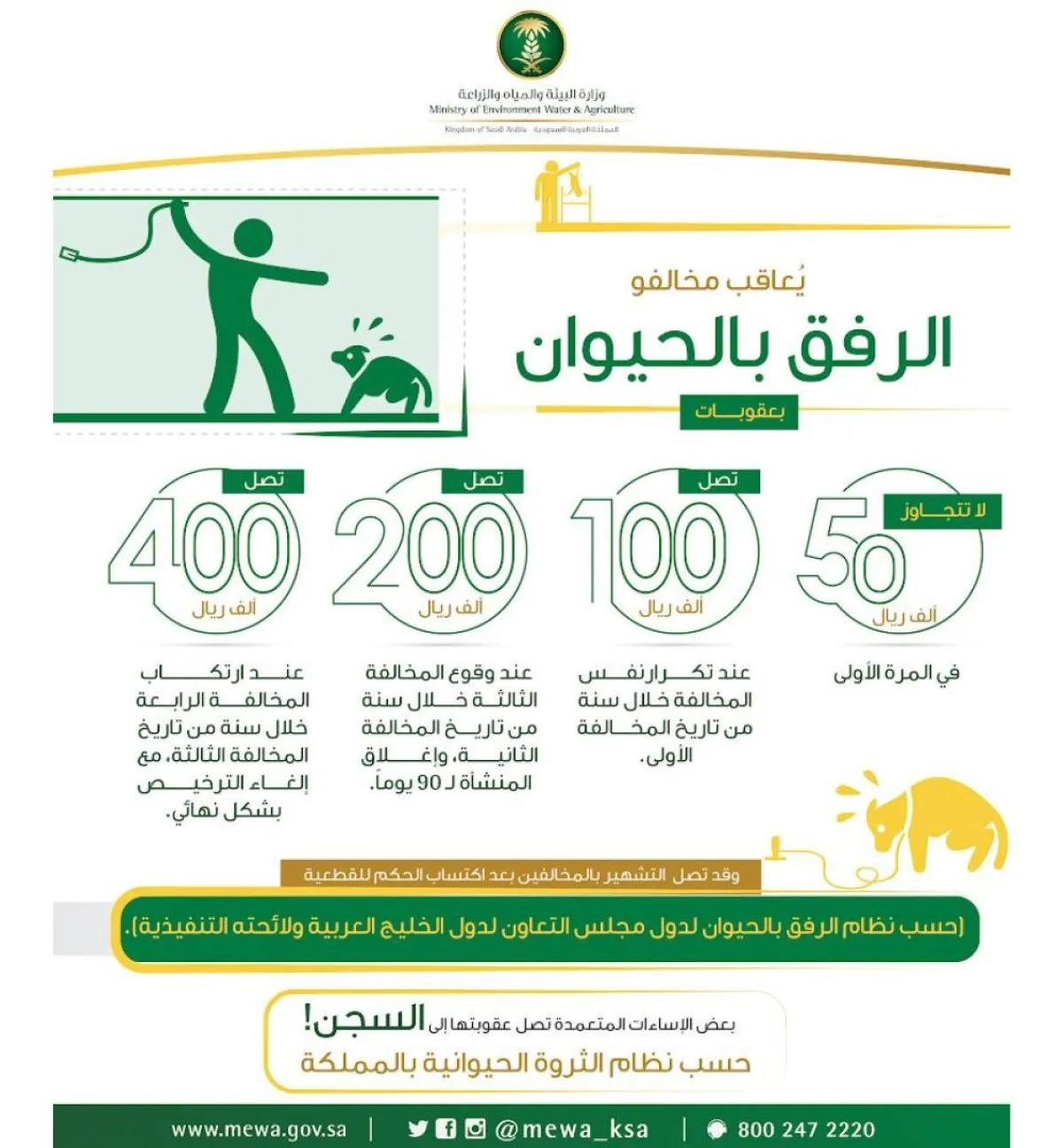 تظهر الصورة مخالفة الرفق بالحيوان