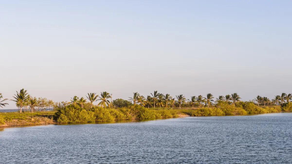 جزيرة مارغريتا 