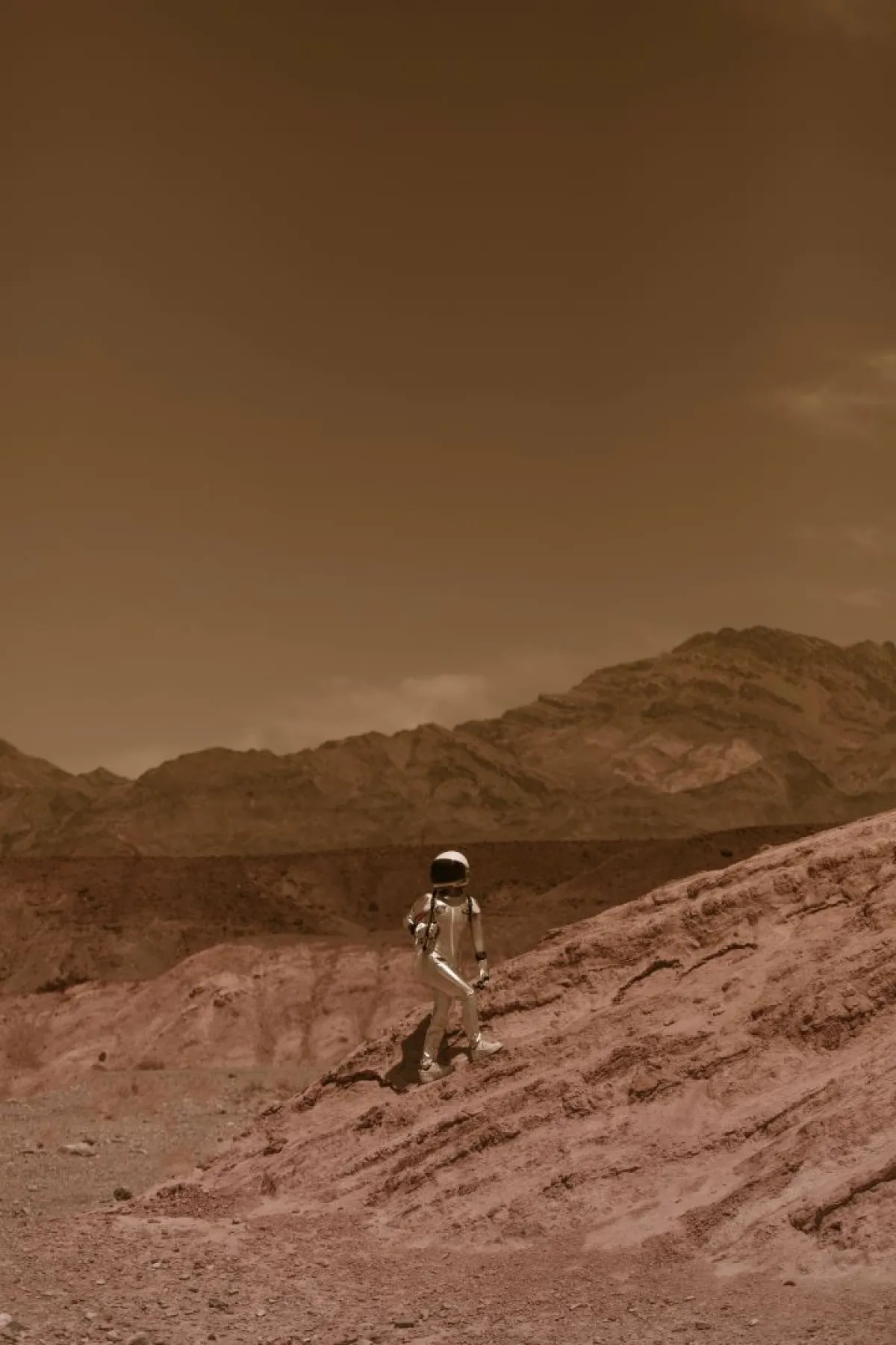 رحلة فضائية