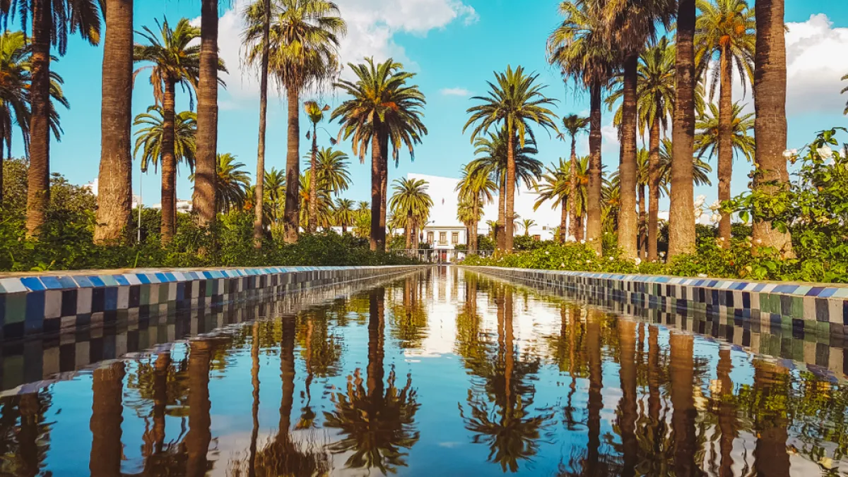 حديقة جامعة الدول العربية