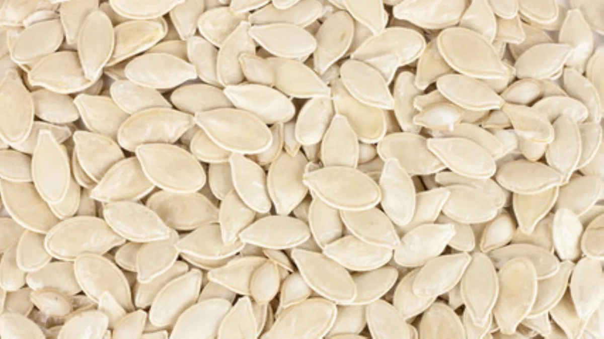 صورة لبذور اليقطين دون إزالة بذورها