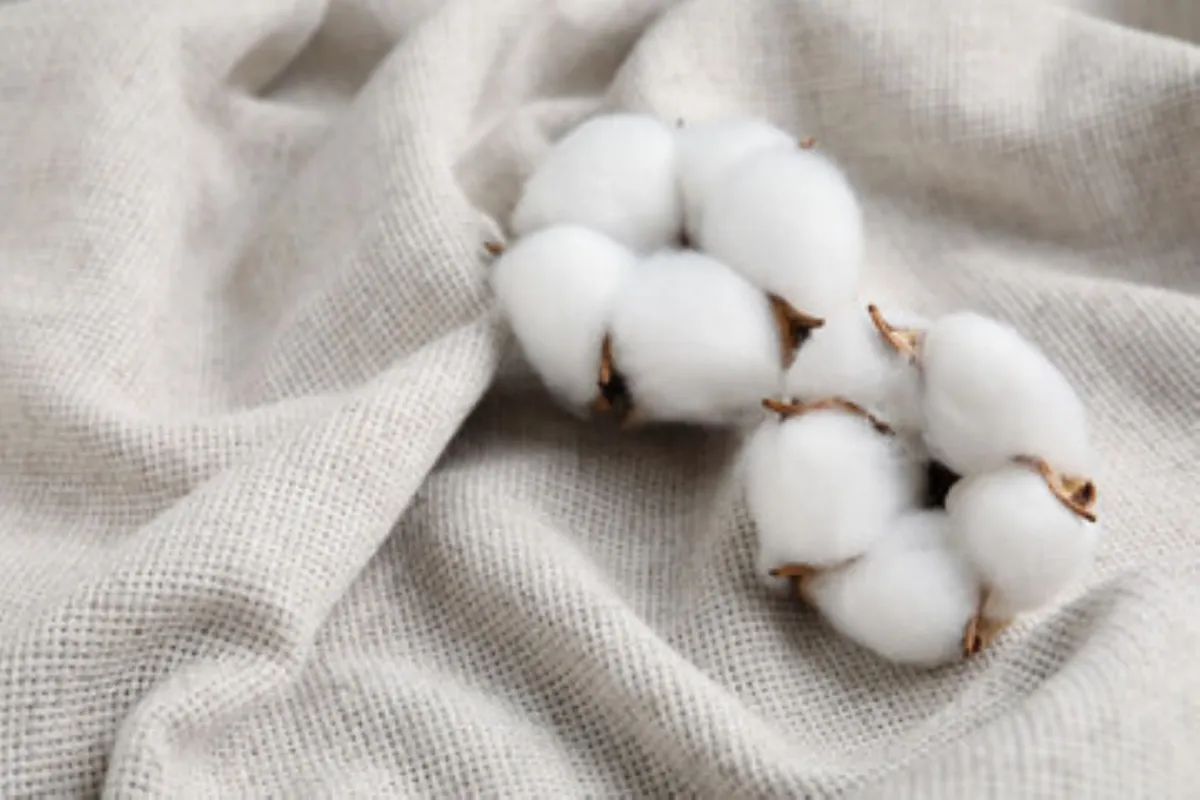 صورة تعبر عن خامة القطن الجيد