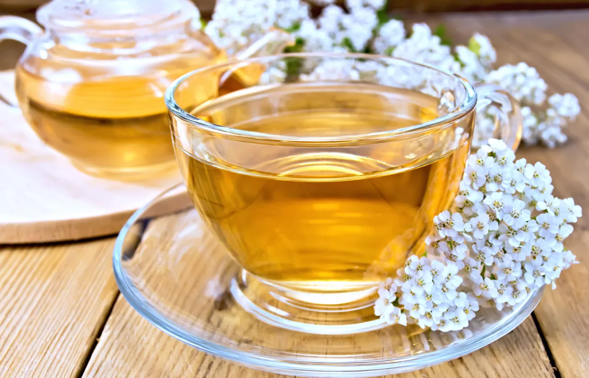 فوائد القيصوم للتنحيف (المصدر: Shutterstock)