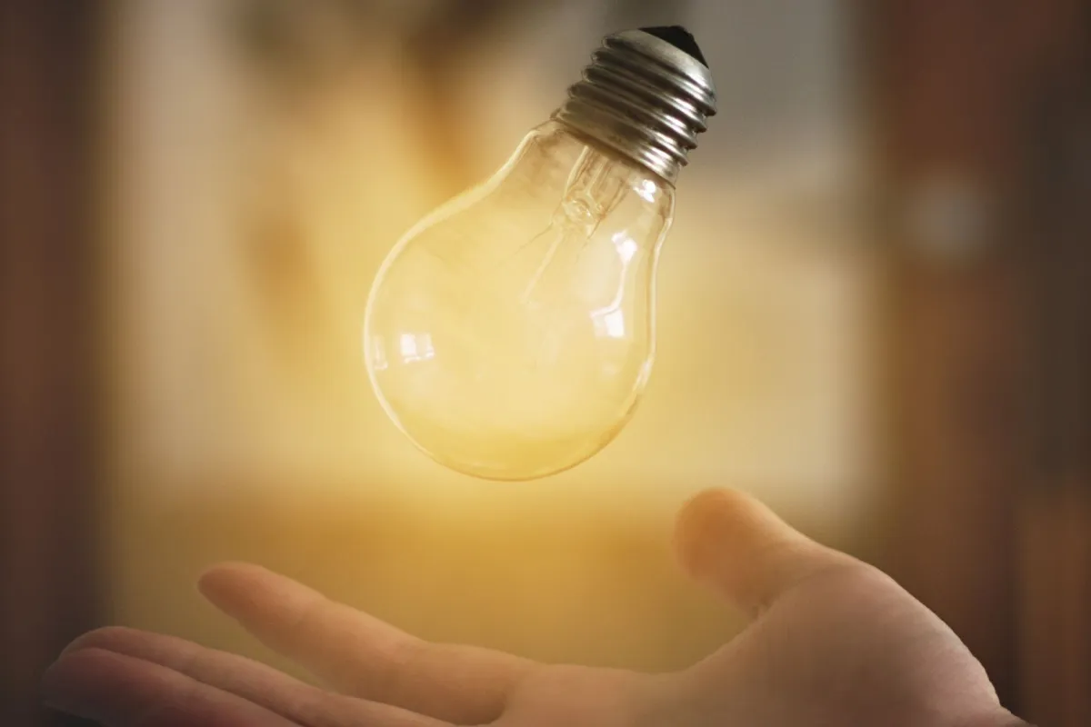 الإنسان العاقل الحكيم