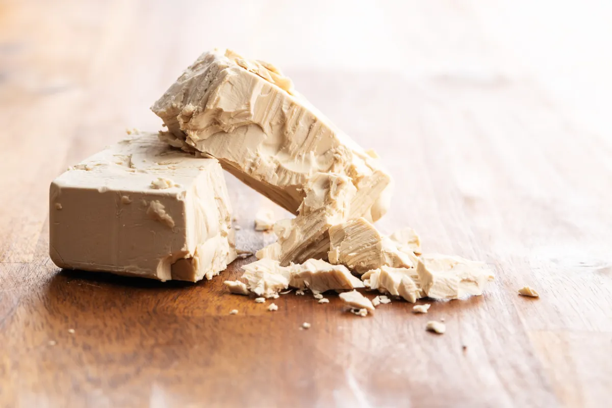 صورة الخميرة