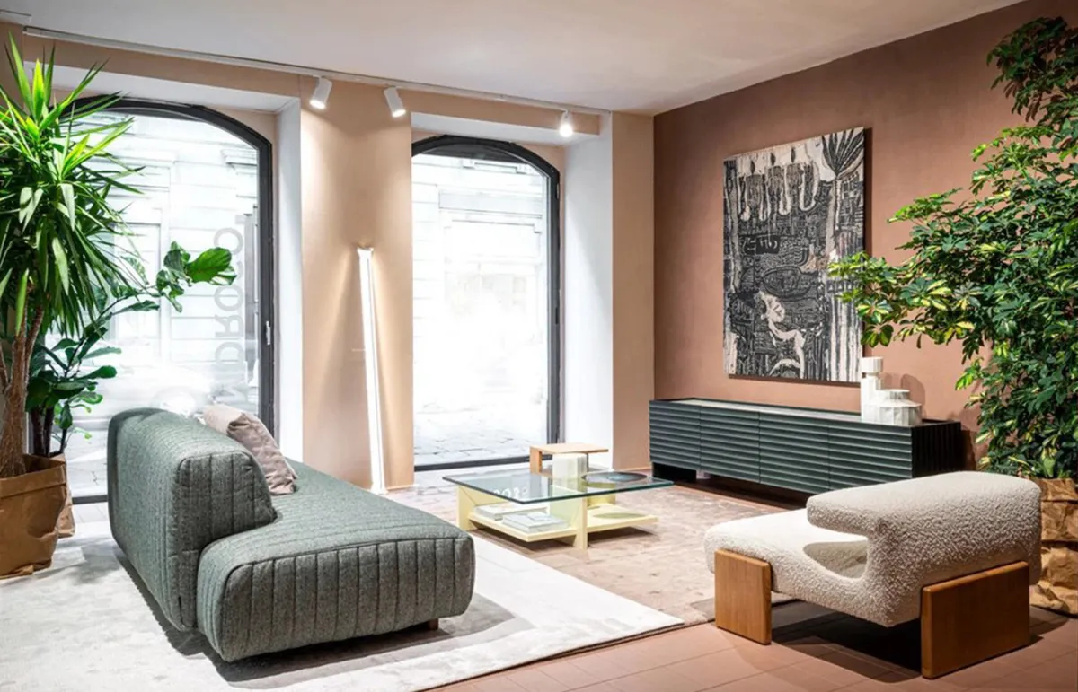 النباتات المنزلية مفضلة في المساحات السكنية والعملية