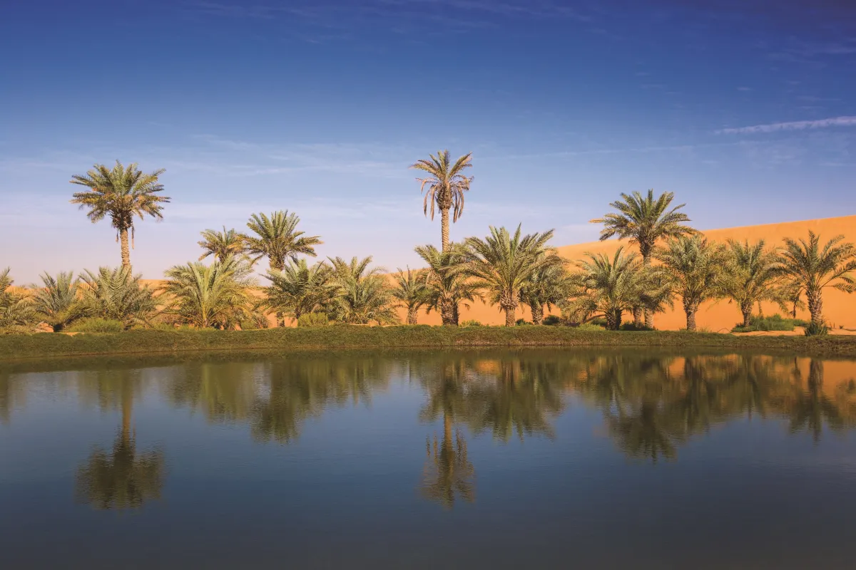 بيئة أبوظبي تتلقى أكثر من 150 طلبا للمشاركة في جائزة الشيخ حمدان بن زايد البيئية. الصورة من wam