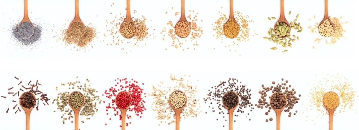 صورة لبهارات الهند