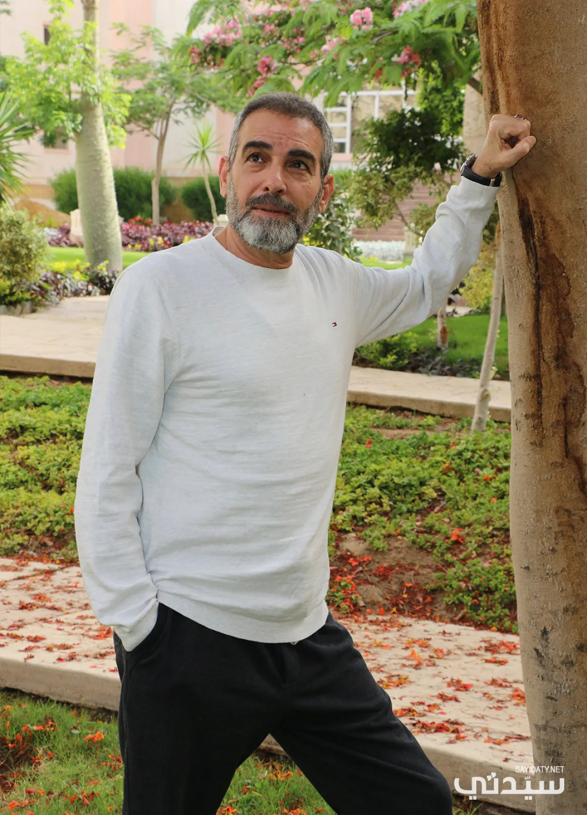 أحمد عبد العزيز