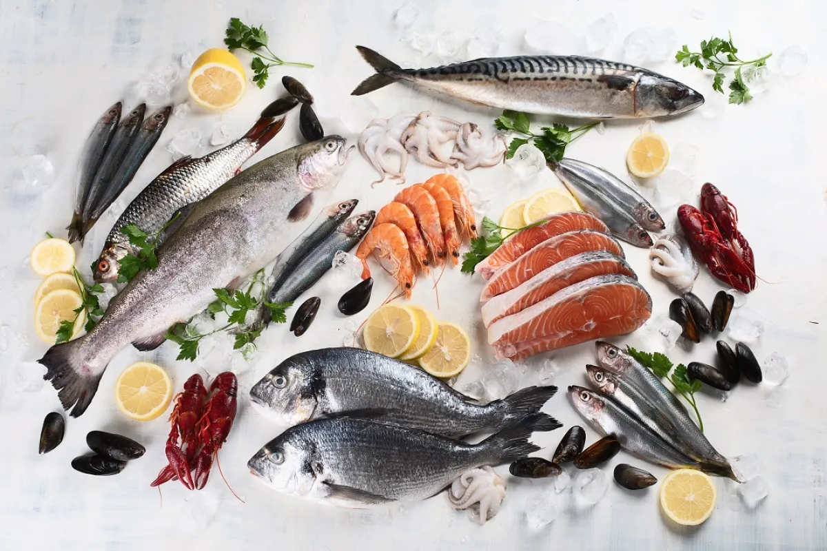 صورة لأنواع مختلفة من الأسماك