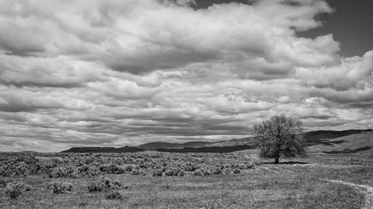 اليوم الدولي لنقاوة الهواء تحت شعار" لنشارك جهودنا جميعا لنعمل معا علي تنقية الهواء " 