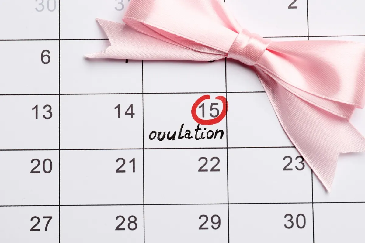 صورة تعبيرية لتحديد وقت الخصوبة