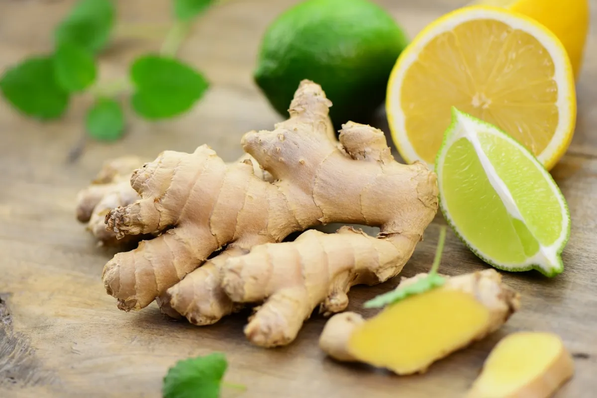 صورة لنبات الزنجبيل والليمون
