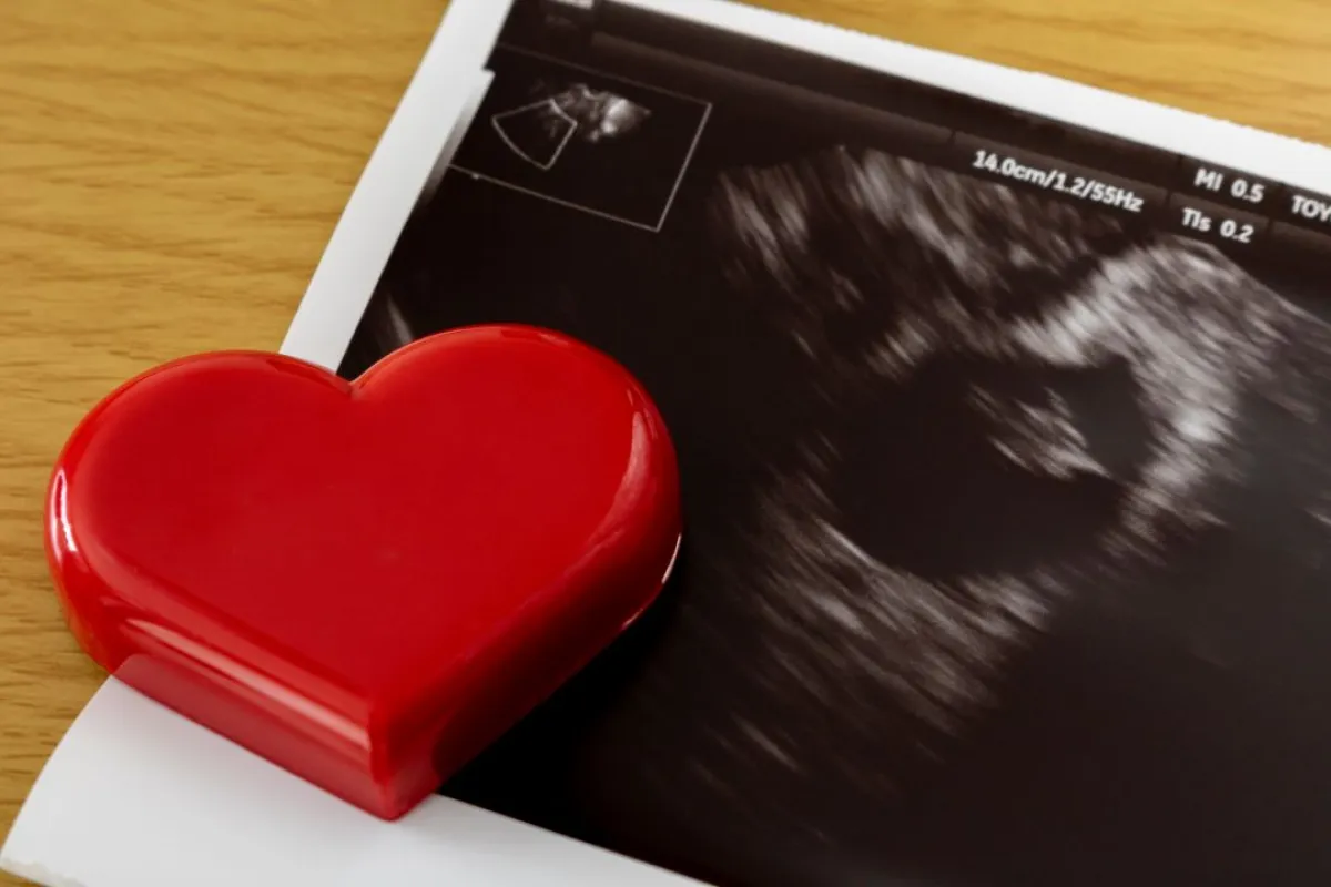 صورة تشير إلى اهمية حمض الفوليك للجنين