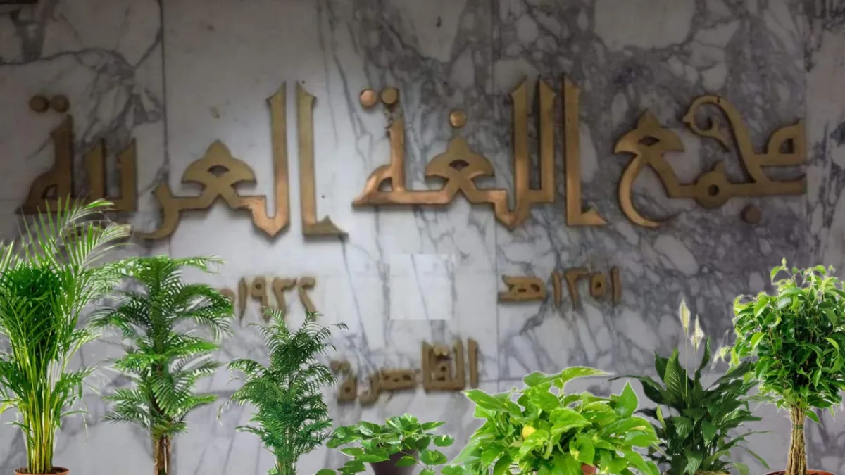 اللغة العربية