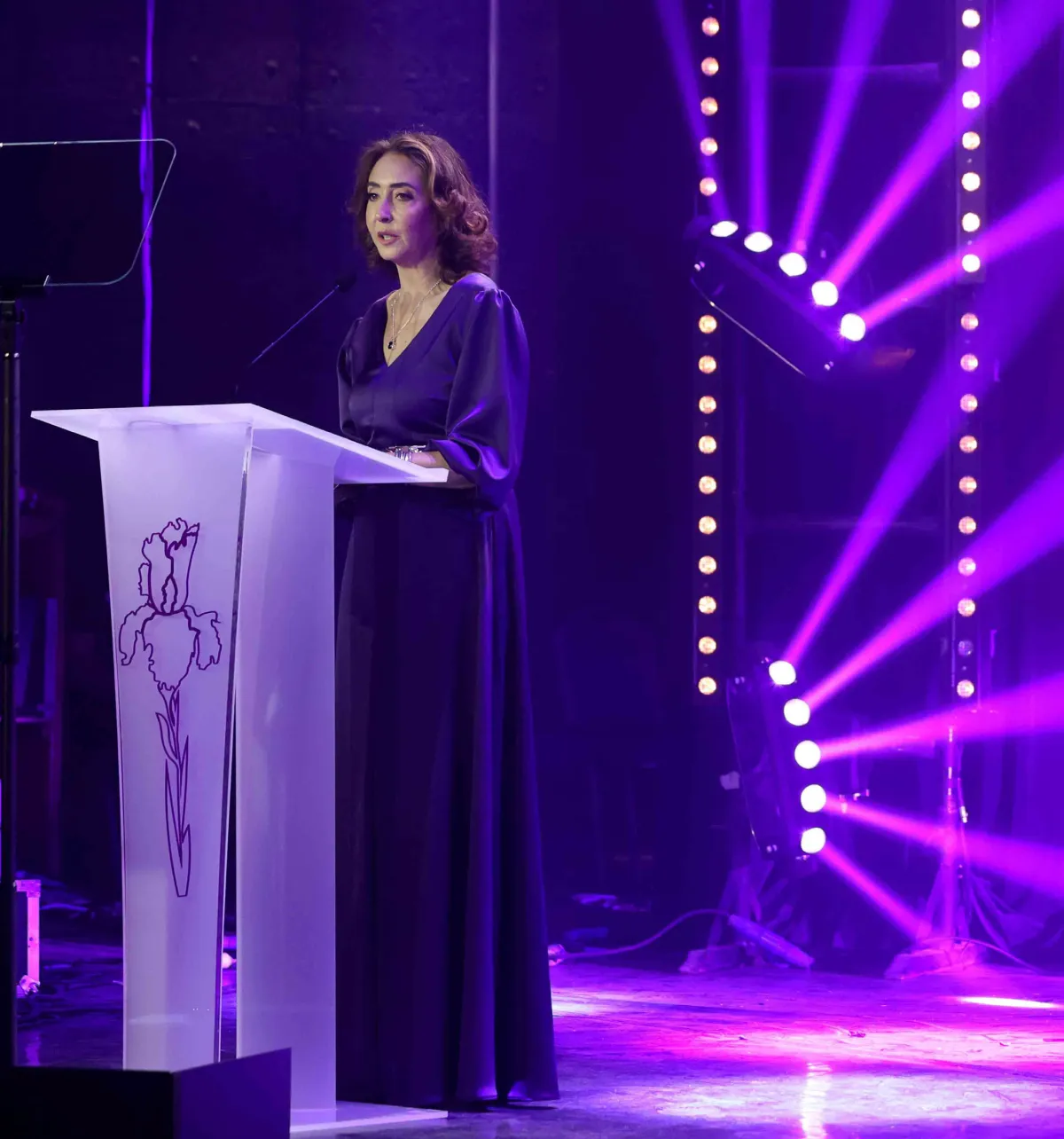 الأميرة ريم علي خلال إلقاء كلمتها الترحيبية في افتتاح الدورة الرابعة من مهرجان عمّان السينمائي الدولي 