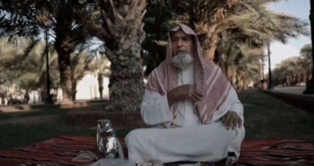 حسن البحيري 