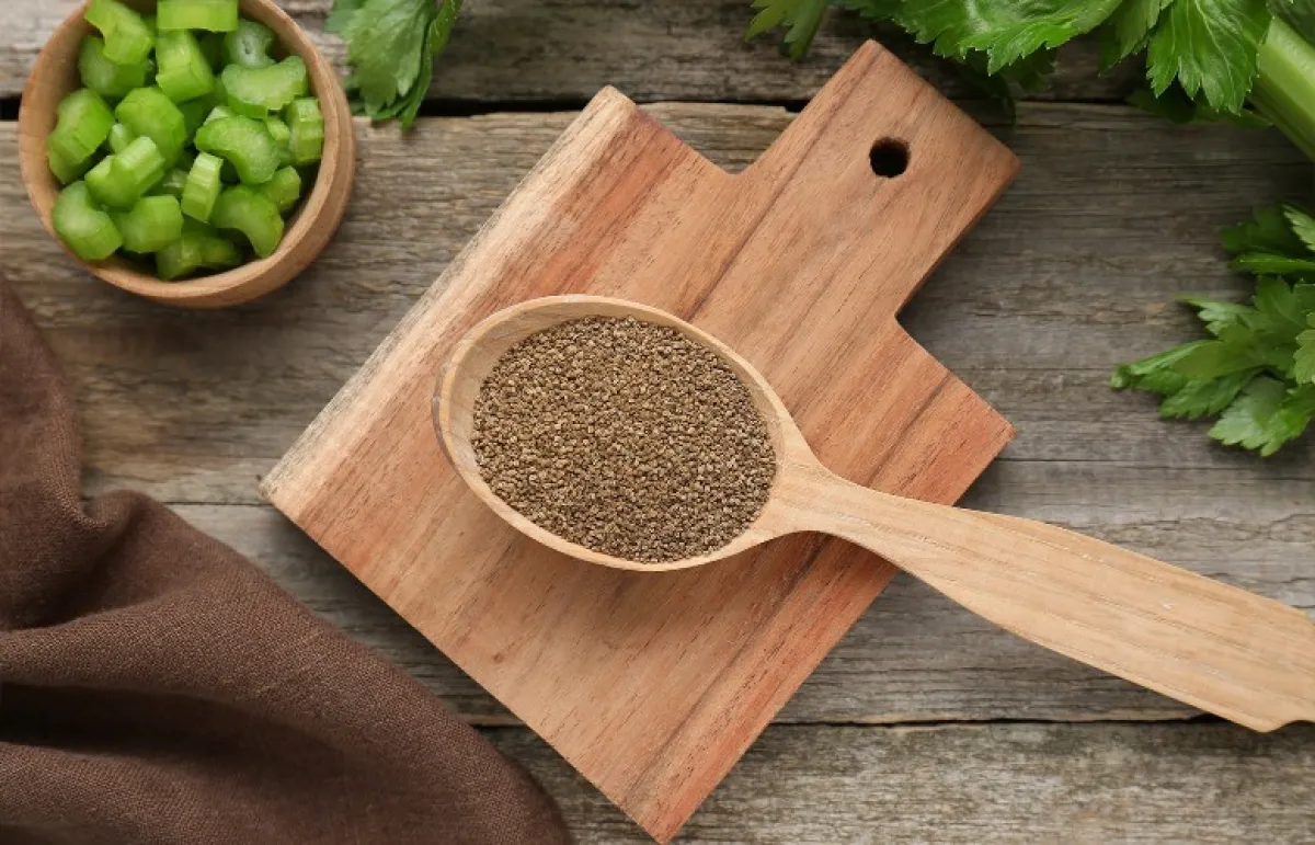 بذور الكرفس مهمة جداً لصحة الدم (المصدر: Shutterstock)