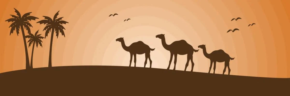 صورة تعبر عن عراقة تاريخ شجرة النخيل