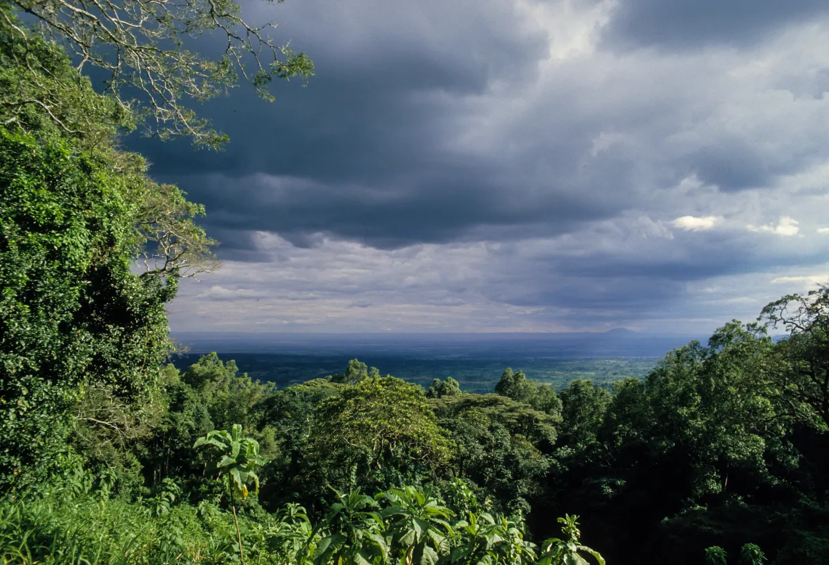 نصائح ومعلومات هامة قبل زيارة رواندا 