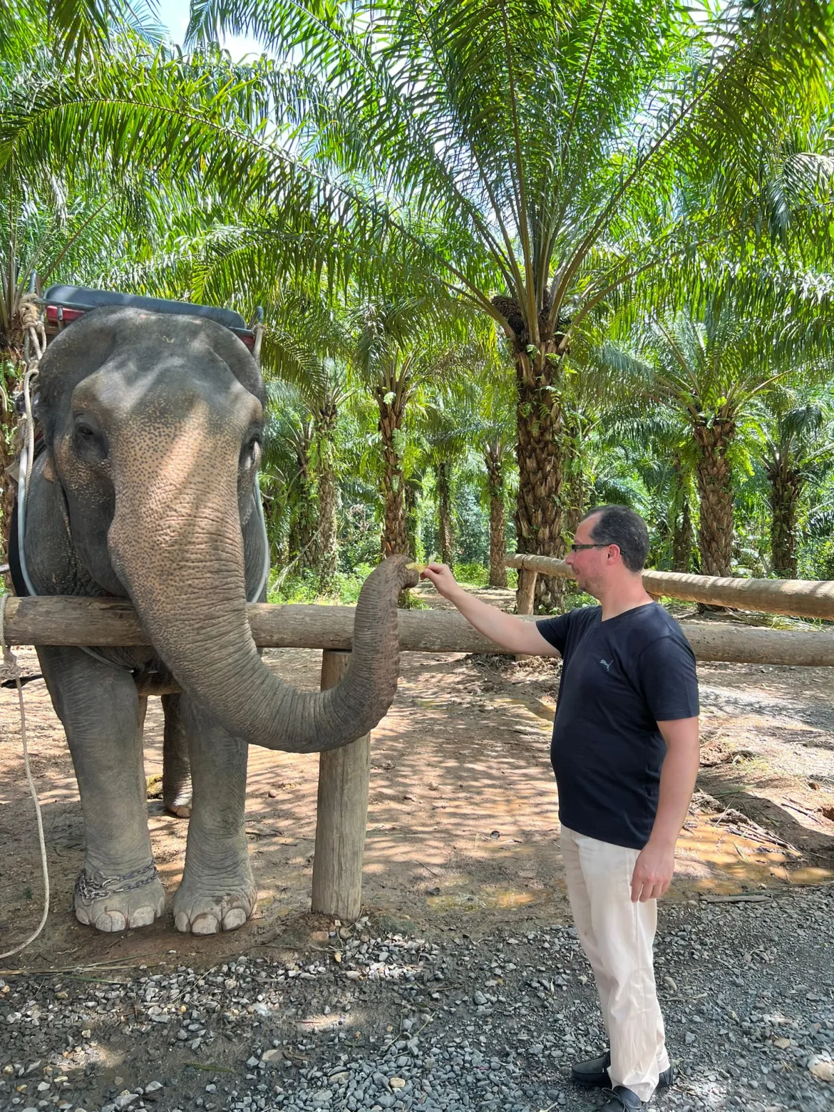 المسافر ربيع بكراكي