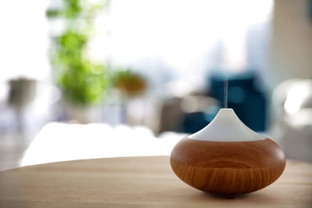 صورة جهاز بخار الماء