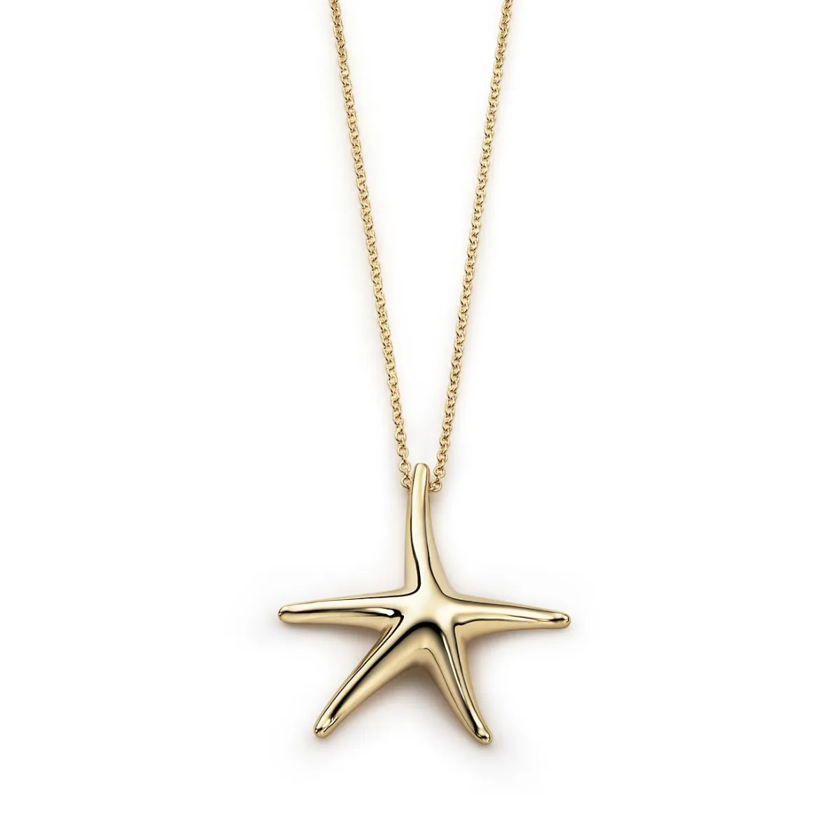 سلسلة Starfish من تيفاني آند كو Tiffany&Co