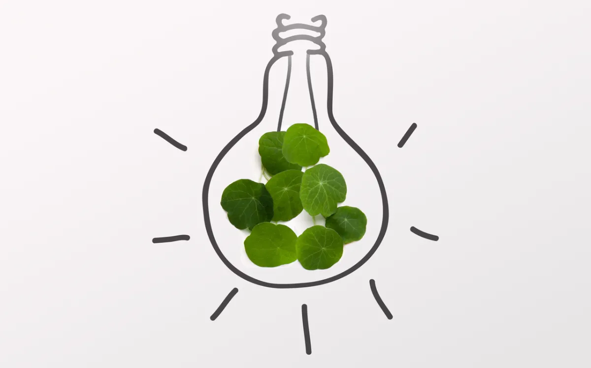 صورة تعبر عن الأفكار