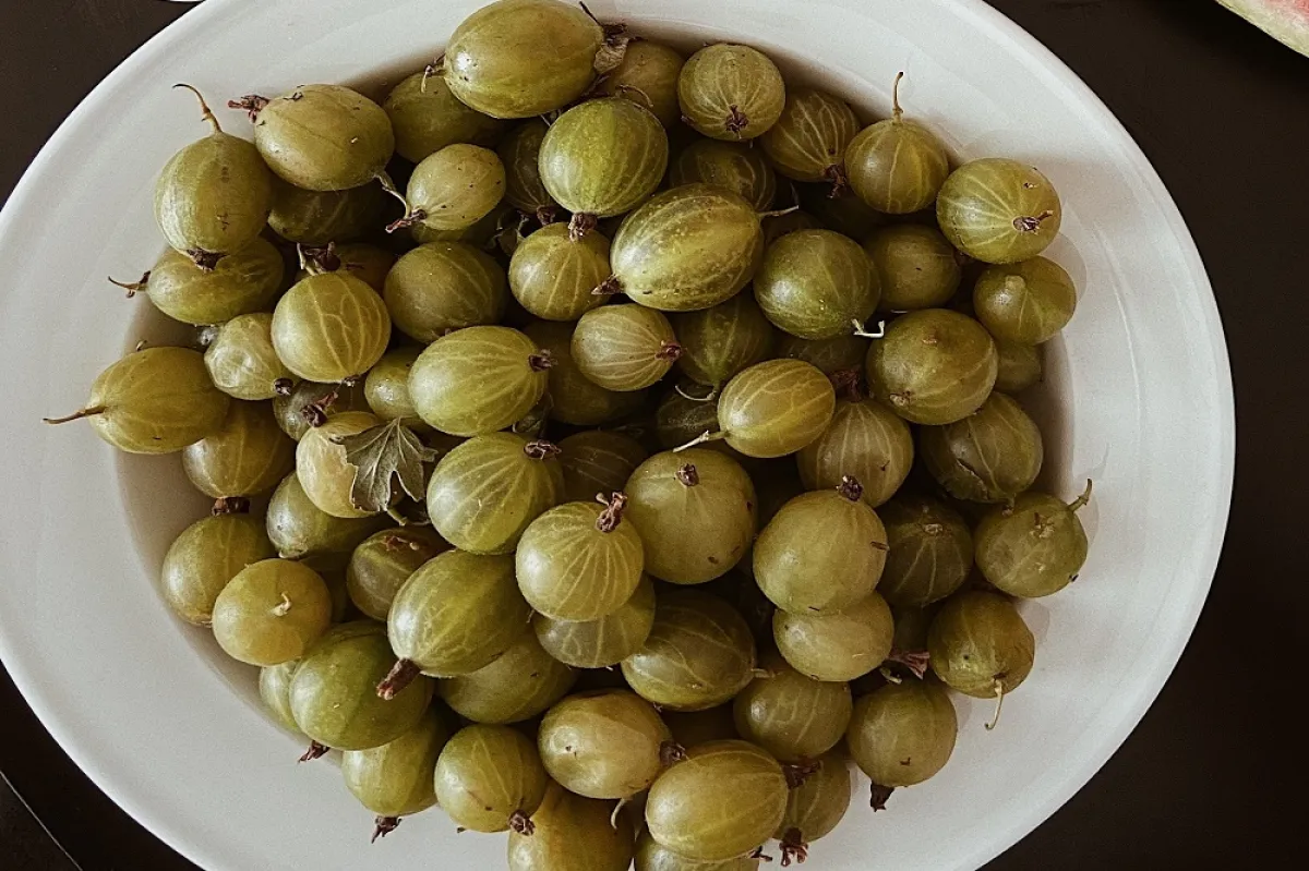 فاكهة الأملج (المصدر: Pexels)