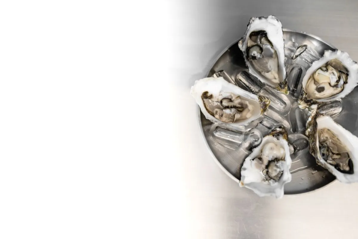 صورة للمحار المعد بطريقة صحية