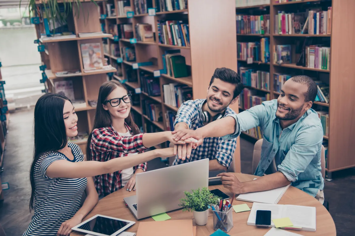 أعضاء فريق العمل