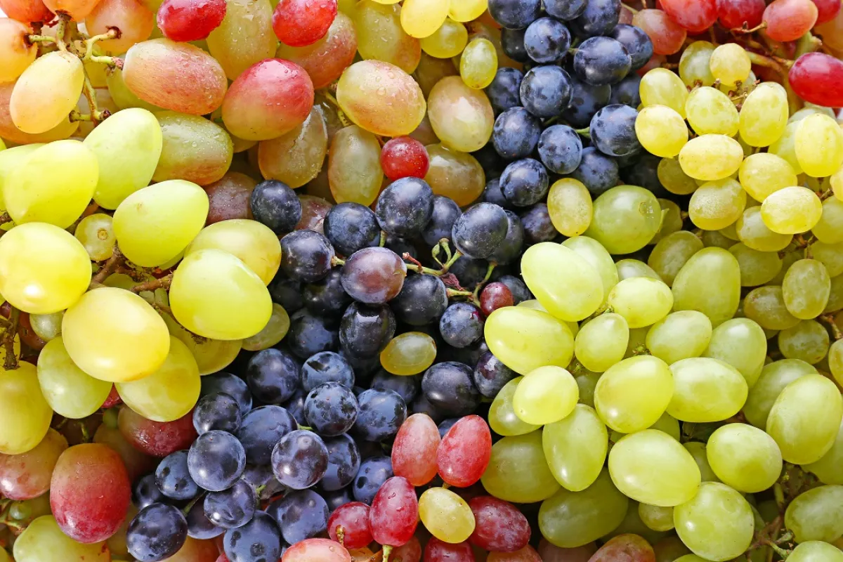 صورة لأنواع من العنب الشهي