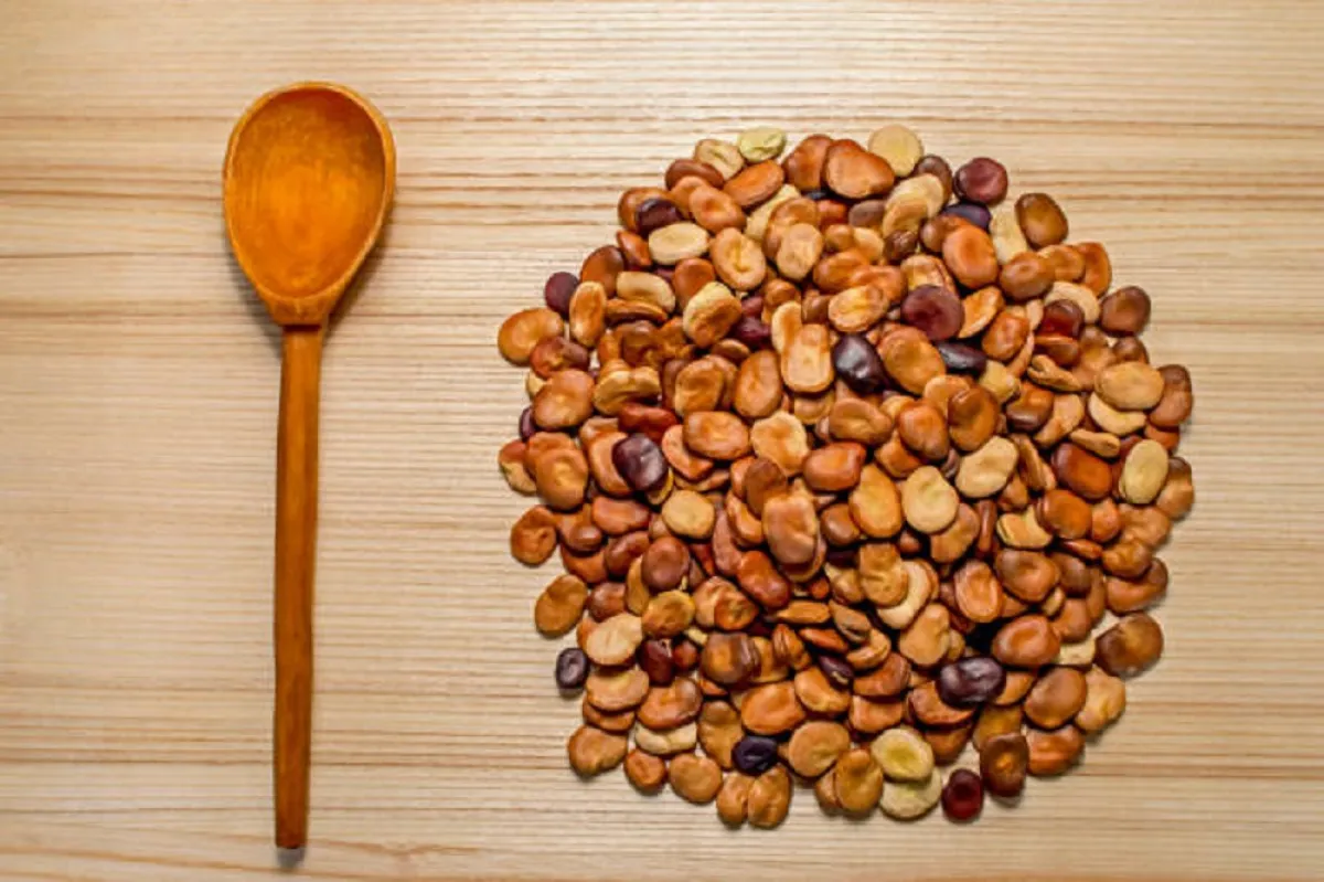 فوائد الفول اليابس للنساء