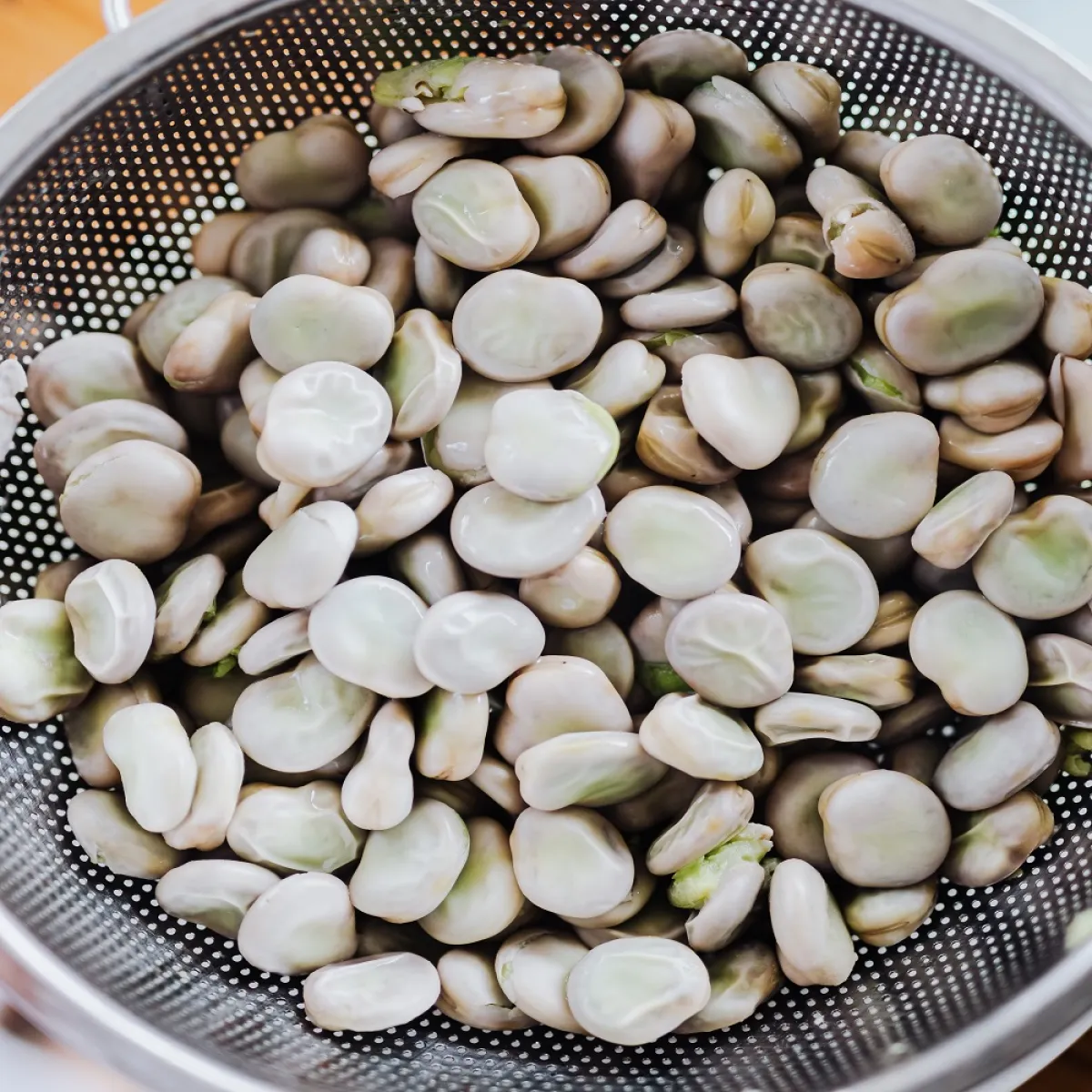 فوائد الفول اليابس للنساء (المصدر: pexels)