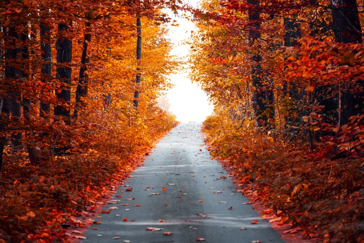 الاستمتاع بالطقس في فصل الخريف