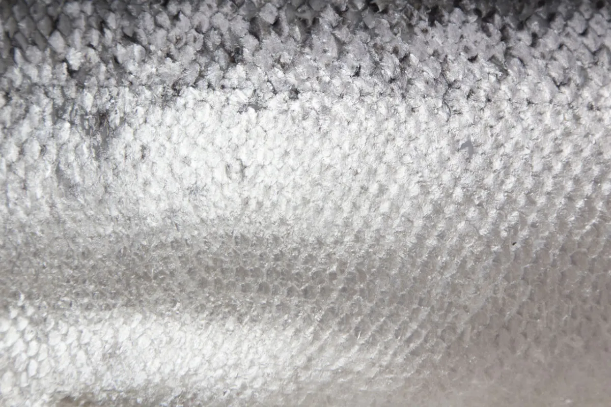 صورة لقشور السمك