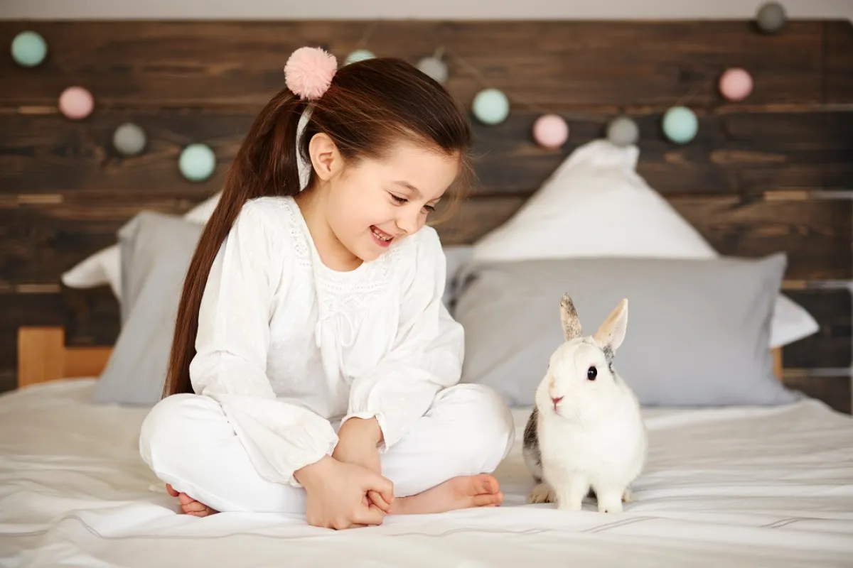 الصورة لطفلة  تنظر للأرنب بحب