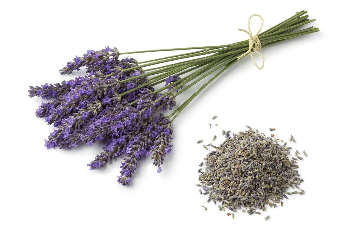 عشبة الاستخدوس للتنحيف (المصدر: Shutterstock)