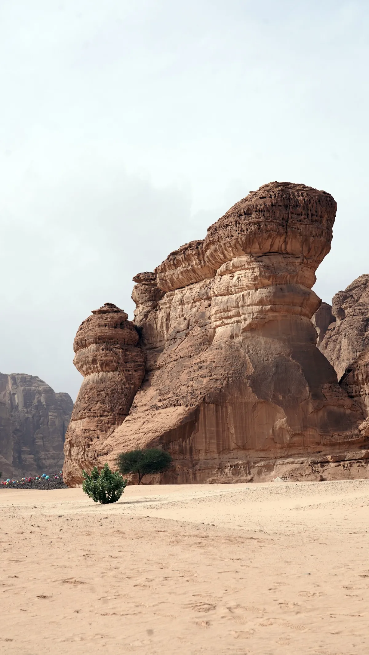 يحلو الاستمتاع بطبيعة العلا 