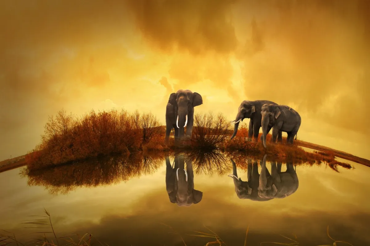 اليوم العالمي للحيوان