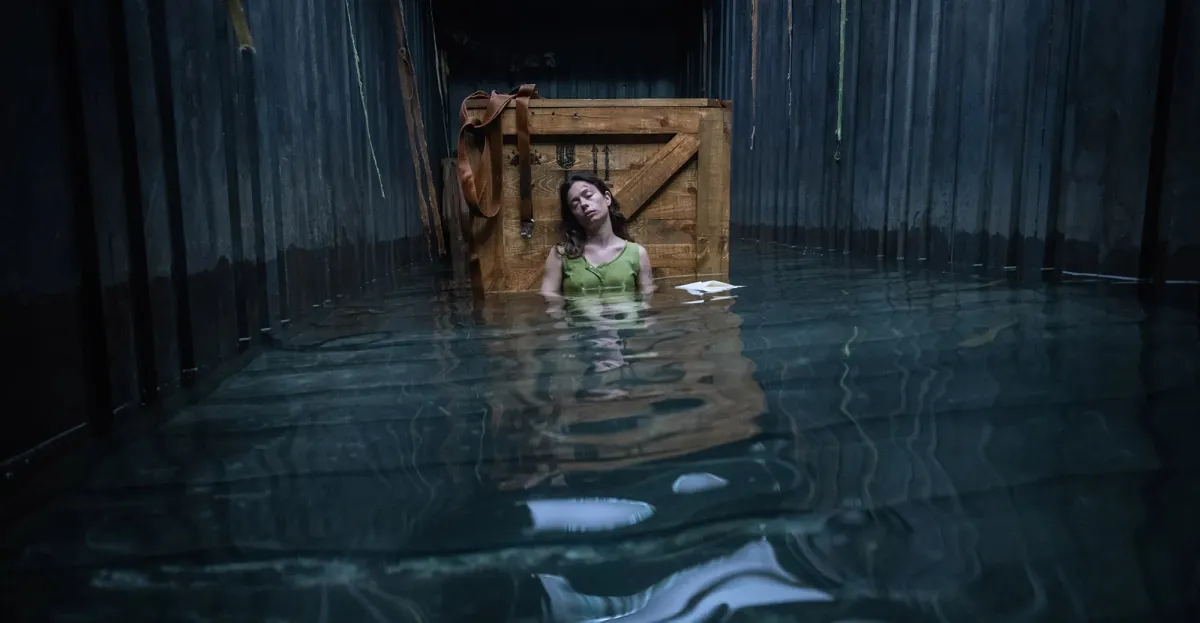 بوستر الفيلم- الصورة من المنصة العارضة