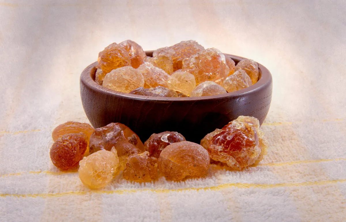 فوائد الصمغ العربي للكلى (المصدر: Shutterstock)