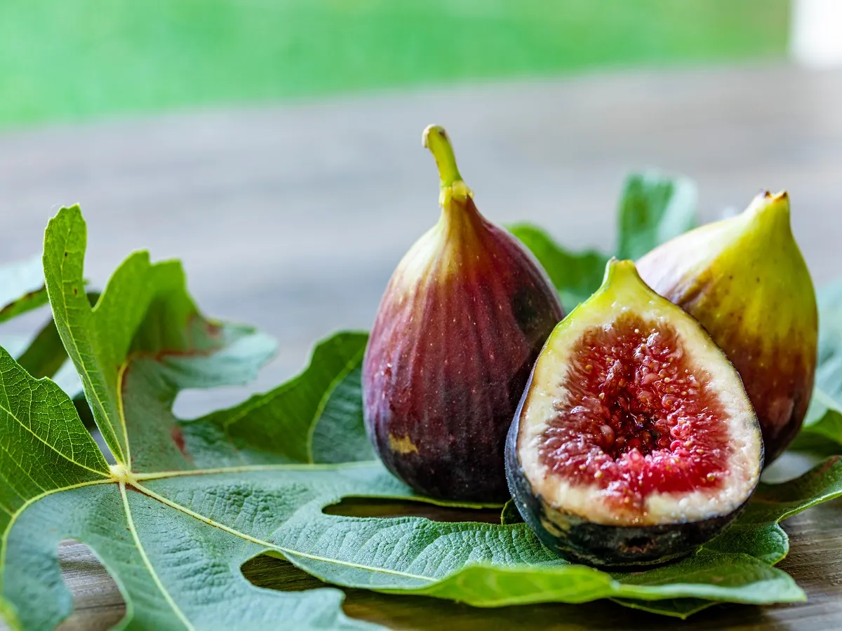 صورة لفاكهة التين