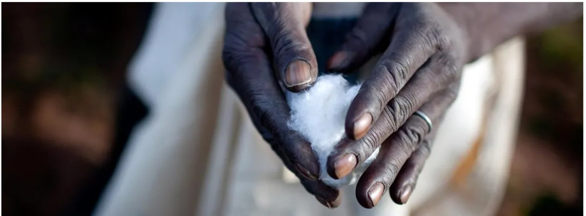 اليوم العالمي للقطن