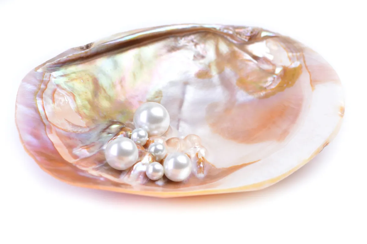 صورة حجر اللؤلؤ