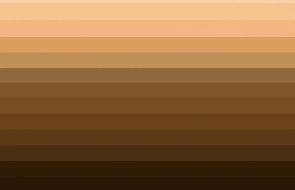 صورة لدرجات اللون البني