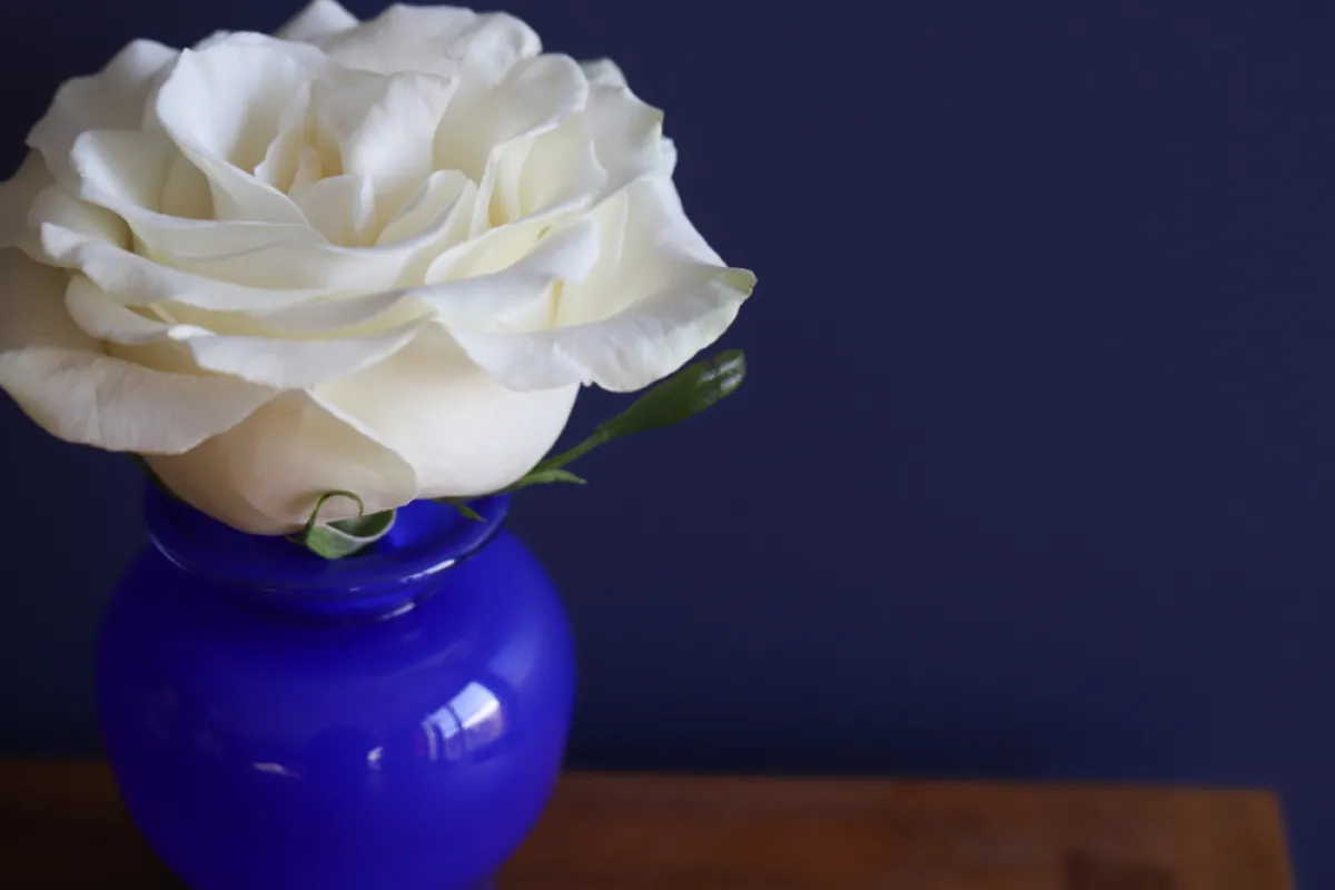 فازة مُميزة باللون الأزرق الكوبالتي