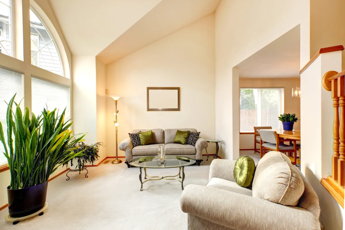 لون العاج ينسجم مع درجات عدة أحادية وداكنة