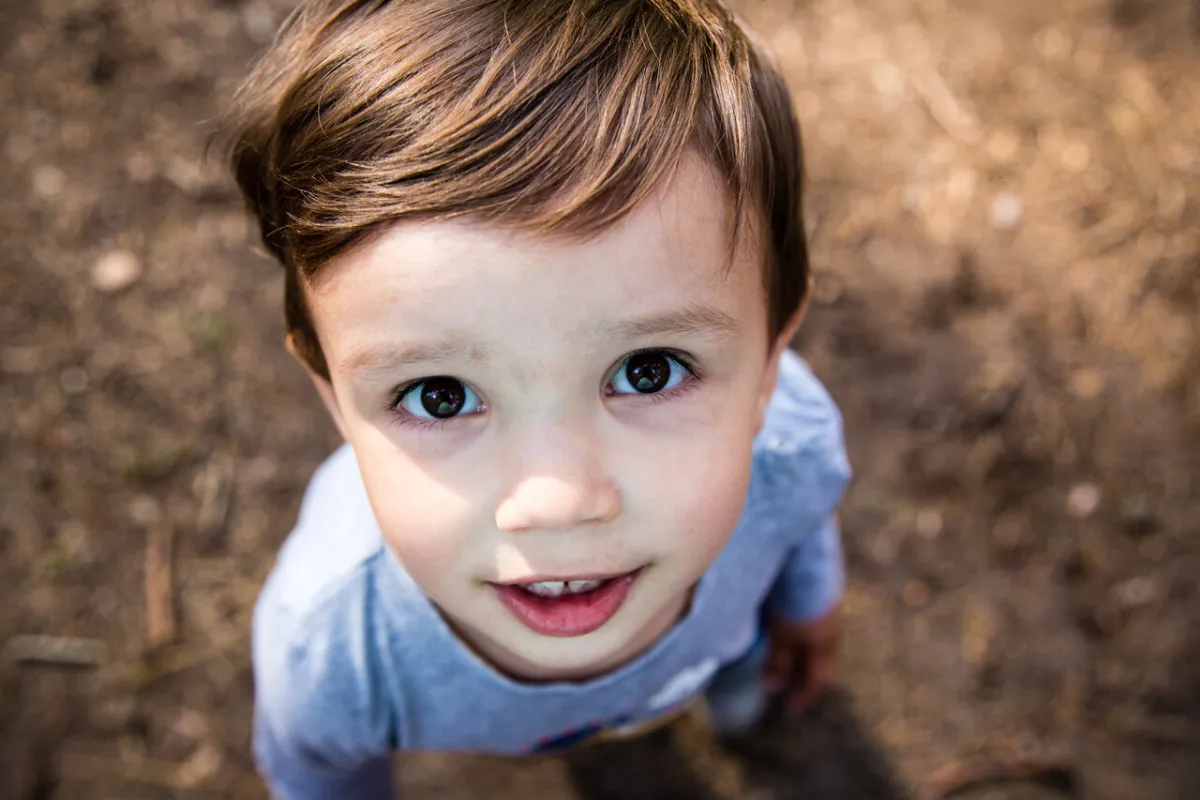 صورة النظر للأعلى